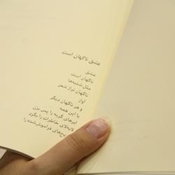 گزارش تصویری نشست بررسی اشعار «افسانه غیاثوند» در نشست «یک ماه یک کتاب»